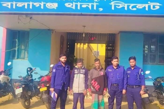 বালাগঞ্জে চুরির অভিযোগে গ্রেফতার ২