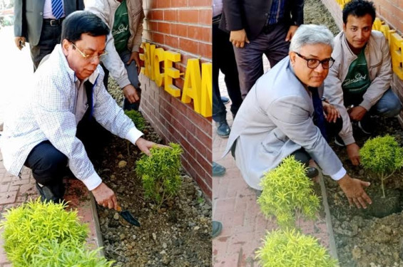 সৌন্দর্যবর্ধনে শাবিপ্রবিতে বনায়ন কর্মসূচি