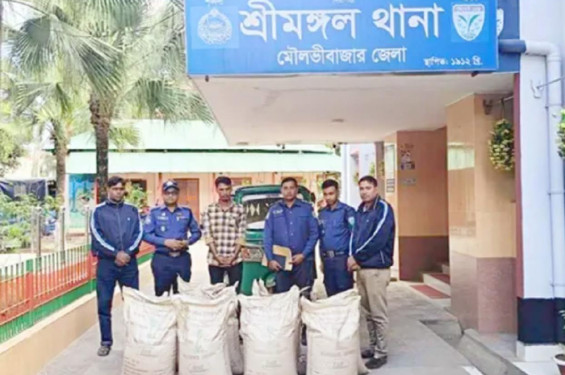 ভারতীয় ১০ বস্তা চোরাই চিনিসহ একজন আটক