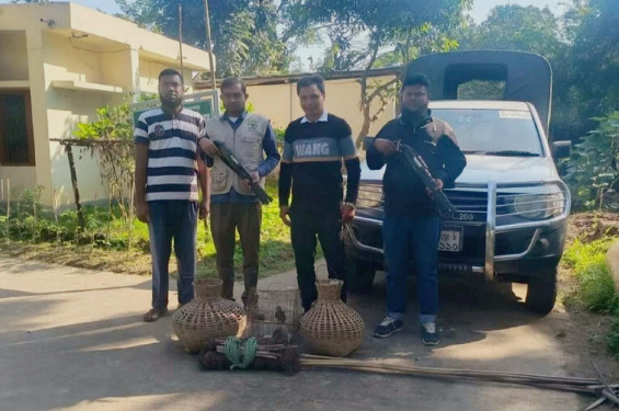 পাখি ধরার সরঞ্জামসহ শিকারির বাড়ি থেকে তিনটি পাখি উদ্ধার