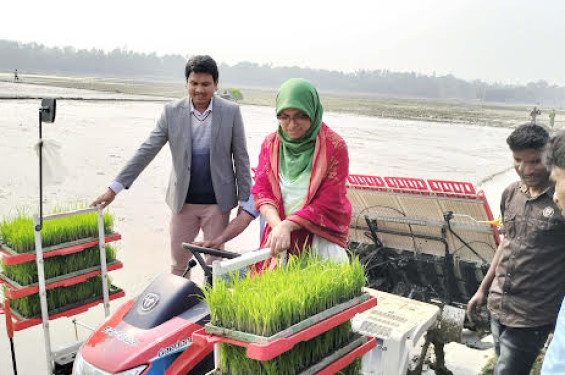 রাইস ট্রান্সপ্লান্টার যন্ত্রের মাধ্যমে চারা রোপণের উদ্বোধন