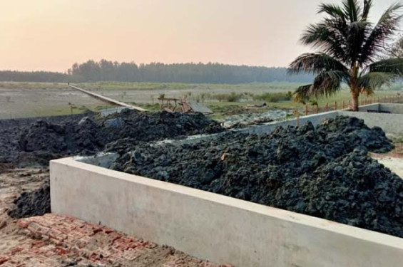 কক্সবাজার পেঁচারদ্বীপ এলাকায় প্যারাবন দখল করে রিসোর্ট নির্মাণ