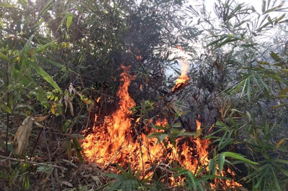 মৌলভীবাজারে হিড এলাকার টিলার আগুন সাড়ে ৬ ঘন্টাপর নিয়ত্রনে