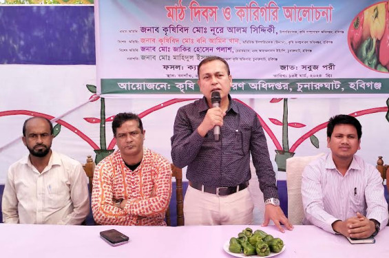 ক্যাপসিকামকে একটি উচ্চমূল্য ও আগামী দিনের সবজি হিসেবে গ্রহণ করুন