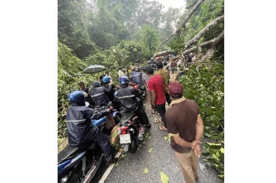 কমলগঞ্জ-শ্রীমঙ্গল সড়কে দুই ঘণ্টা যোগাযোগ বন্ধ