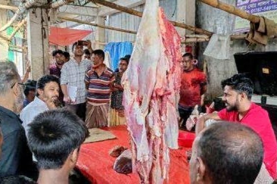 শেরপুরে মৃতপ্রায় গরু জবাই করে মাংস বিক্রি; ১৫ হাজার টাকা জরিমানা