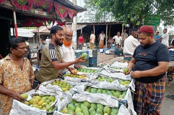 শার্শা উপজেলায় প্রতিদিন ৬ কোটি টাকার আম বিক্রি হয় যে বাজারে