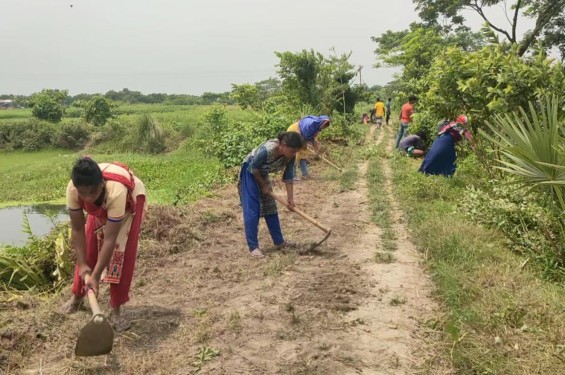 নবীনগরে নিজস্ব অর্থায়নে রাস্তা সংস্কার