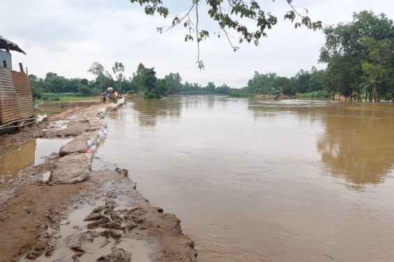 শেরপুরে মহারশি নদীর বাধে ফাটল ও ভাঙন; উদ্ধিগ্ন স্থানীয়রা