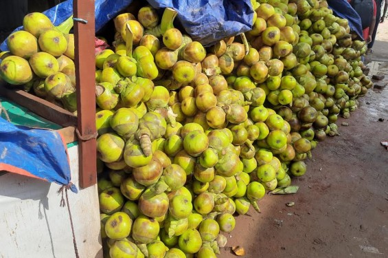 নবীনগরে হাটবাজারে তালের শাঁস বিক্রির ধুম