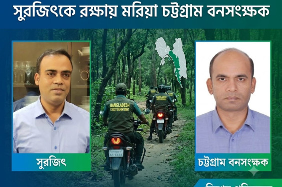 দুনীতিবাজ সুরজিৎকে রক্ষায় মরিয়া চট্টগ্রাম বনসংক্ষক