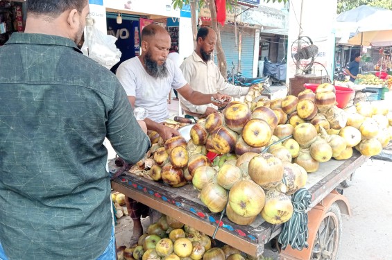 বেনাপোলে গরমে তালের শাঁস বিক্রির ধুম