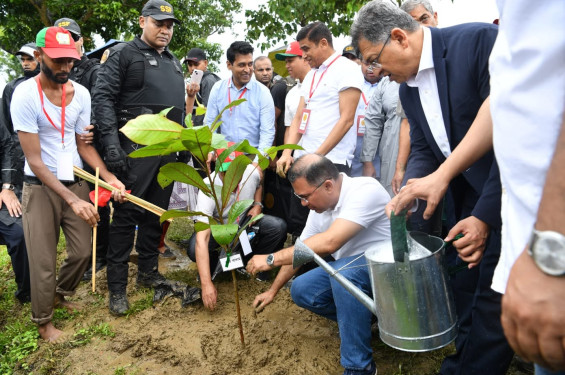 ২৫ কোটি বৃক্ষরোপণ কর্মসূচির উদ্বোধন করলেন প্রধানমন্ত্রী