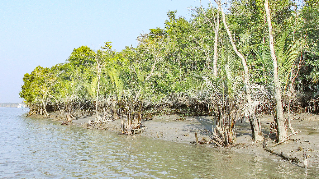 নদী-জল-প্রকৃতি রক্ষায় নবায়নযোগ্য জ্বালানিতে দ্রুত রূপান্তরের দাবি