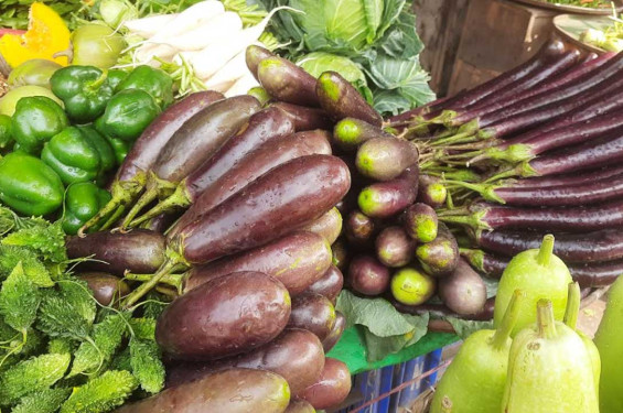 লেবু-শসার দাম কমলেও চড়া বেগুন