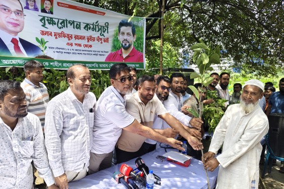 রূপগঞ্জে বৃক্ষ রোপণ কর্মসূচি ও চারাগাছ বিতরণ