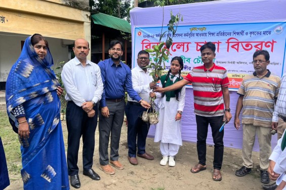 নবীনগর ফল মেলা ও শিক্ষার্থীদের মাঝে গাছের চারা বিতরণ