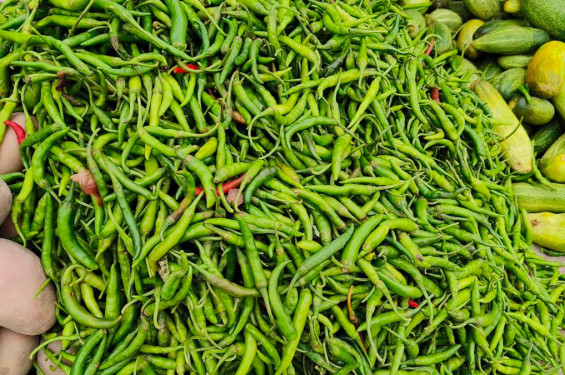 কাঁচামরিচের দাম কমলো   কেজিতে ২০০ টাকা