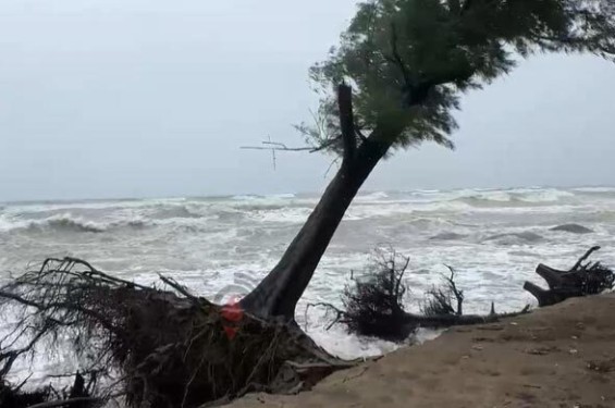 জলোচ্ছ্বাসে প্লাবিত হতে পারে ১৫ জেলা