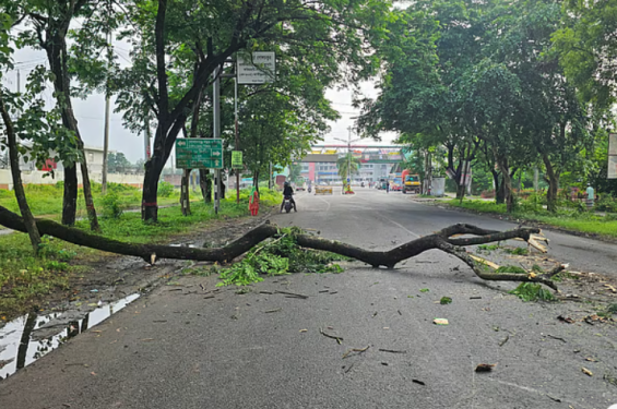 গোপালগঞ্জে কারফিউ, সকালে সড়কে-বাজারে লোকজন কম