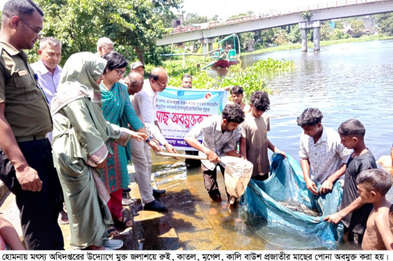 হেমনায় উন্মুক্ত জলাশয়ে মাছের পোনা অবমুক্ত
