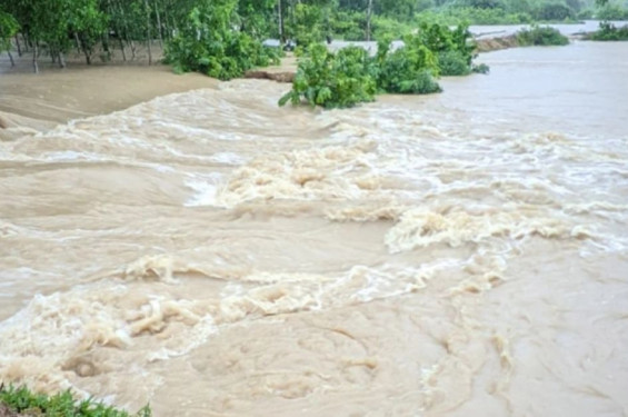 শেরপুরে তিন নদীর পানি বিপৎসীমার ওপরে