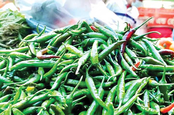 কাঁচামরিচের ঝালে নাকাল রাজধানীবাসী
