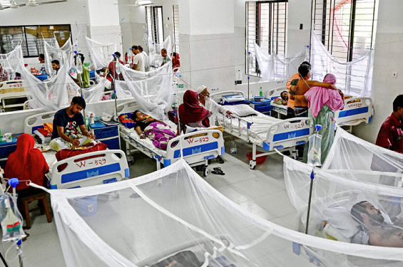 ডেঙ্গুতে আরো ৪ জনের মৃত্যু, হাসপাতালে ১০৪১