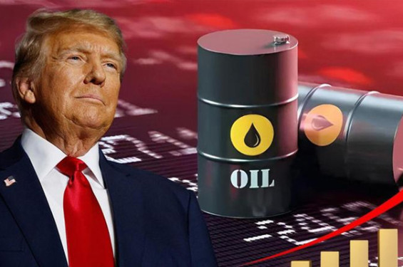তেলের দাম বাড়ছেই