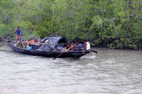 সুন্দরবনে তিন মাসের নিষেধাজ্ঞা: টিকে থাকার লড়াইয়ে বননির্ভর জনগোষ্ঠী