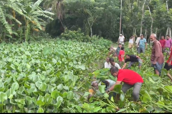 বাউফল বীজতলা ক্ষতিগ্রস্থ হওয়ায় সেচ্ছাশ্রমে খাল অবমুক্ত