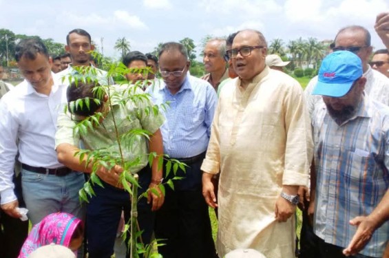 পটুয়াখালীতে এক শহীদ এক বৃক্ষ কর্মসূচীর উদ্বোধন