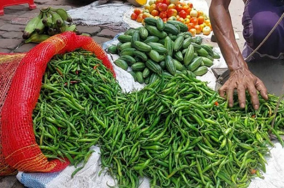 দুদিনে অর্ধেকে নেমেছে কাঁচামরিচের দাম
