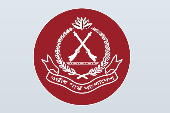 জুনে ৩০৮ কোটি টাকার পণ্য  উদ্ধার করেছে বিজিবি