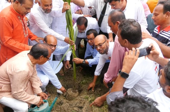 ঝিনাইদহে কৃষকদলের বৃক্ষরোপণ কর্মসূচি