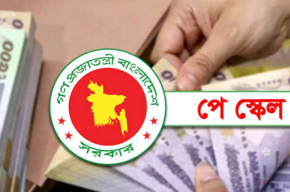 দ্রুত পে-স্কেলের প্রজ্ঞাপনে রাষ্ট্রপতির হস্তক্ষেপ চান সরকারি কর্মচারীরা