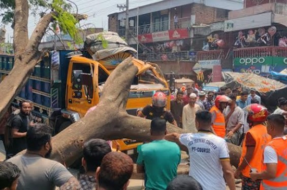 যশোর-বেনাপোল মহাসড়কে চলন্ত ট্রাকের উপর ভেঙে পড়লো গাছ