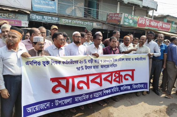 তিন দফা দাবিতে কালীগঞ্জে শিক্ষক-কর্মচারীদের মানববন্ধন, কর্মবিরতি চলছে