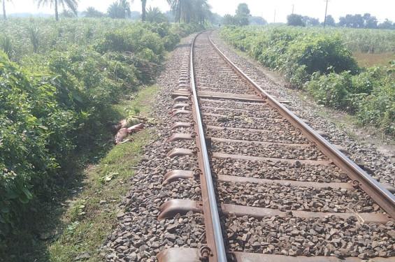 ঝিনাইদহের কালীগঞ্জে ট্রেনে কাটা পড়ে বৃদ্ধার মর্মান্তিক মৃত্যু
