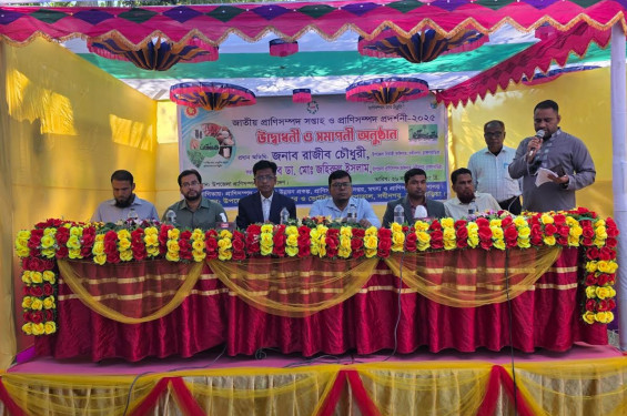 নবীনগরে জাতীয় প্রাণিসম্পদ সপ্তাহ ও প্রদর্শনী উদ্বোধন