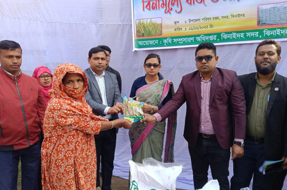 ঝিনাইদহে ২৫০০ কৃষকের মাঝে বিনামূল্যে সার বীজ বিতরণ