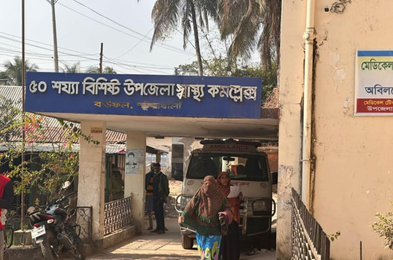 বাউফলে গরুতে ক্ষেতের ধান খাওয়াকে কেন্দ্র করে সংঘর্ষ: নারীসহ ৫ জন আহত