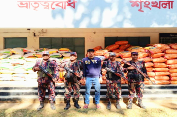 জুড়ীতে বিজিবির অভিযানে ১৩৫ বস্তা ভারতীয় জিরা উদ্ধার, ট্রাকসহ মালামাল জব্দ