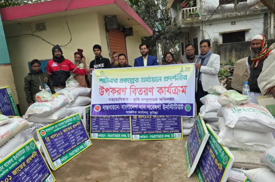 নবীনগরে ব্রি’র প্রশিক্ষণ ও ৭০ কৃষকের মাঝে বিনামূল্যে সার-বীজ বিতরণ