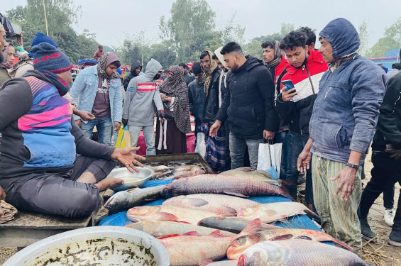 রাণীনগরে শত বছরের ঐতিহ্যবাহী 'বয়লাগাড়ি' মেলা অনুষ্ঠিত
