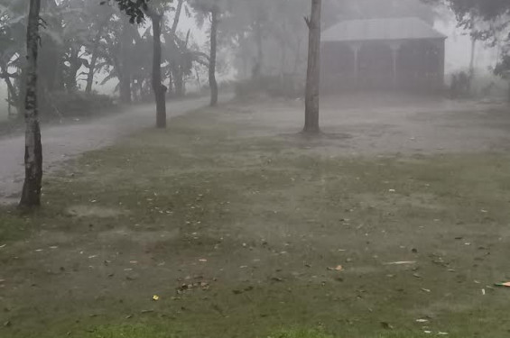 জলঢাকায় তীব্র শীত ও হিমেল হাওয়ায় জনজীবন বিপর্যস্ত