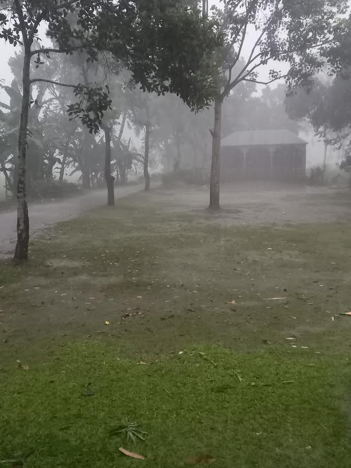 জলঢাকায় তীব্র শীত ও হিমেল হাওয়ায় জনজীবন বিপর্যস্ত
