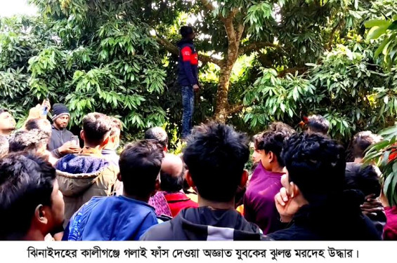 কালীগঞ্জে অজ্ঞাত তরুণের ঝুলন্ত মরদেহ উদ্ধার