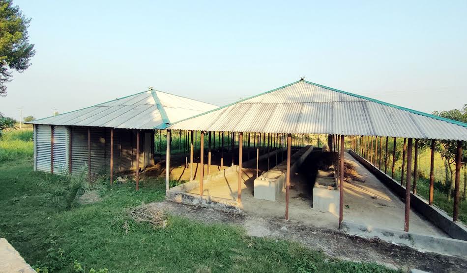 রাণীনগরে পৌনে ২ কোটি টাকার পুনর্বাসন প্রকল্প এখন জনশূন্য, লুট হয়েছে গবাদিপশু