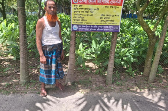 ফল বাগানের ছায়ায় হলুদ চাষ: কৃষক জামিরের অভাবনীয় সাফল্য